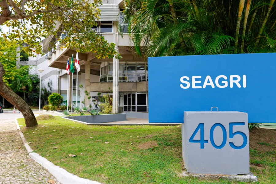 Seagri abre edital na Bahia: veja como concorrer a vagas com salário de R$ 3,8 mil 1 01