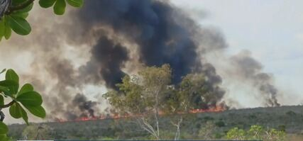 Incêndio avança sobre área de conservação no norte da Bahia 4 4 3